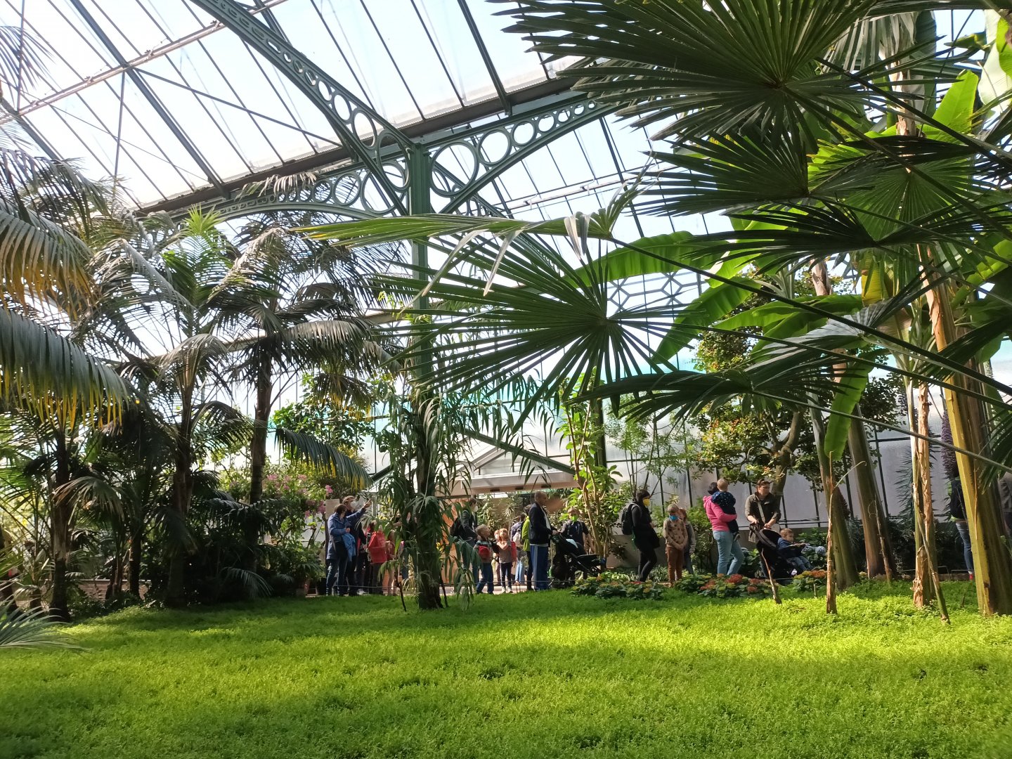 Inside the Palm Greenhouse