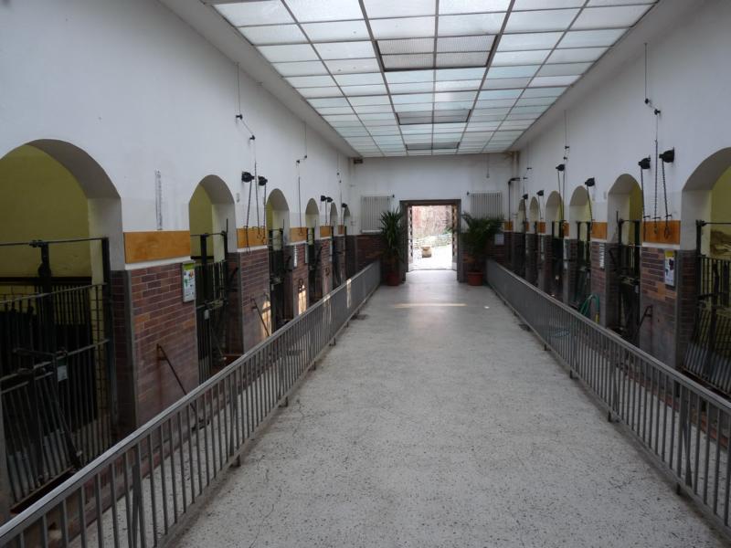 Inside the Pig House