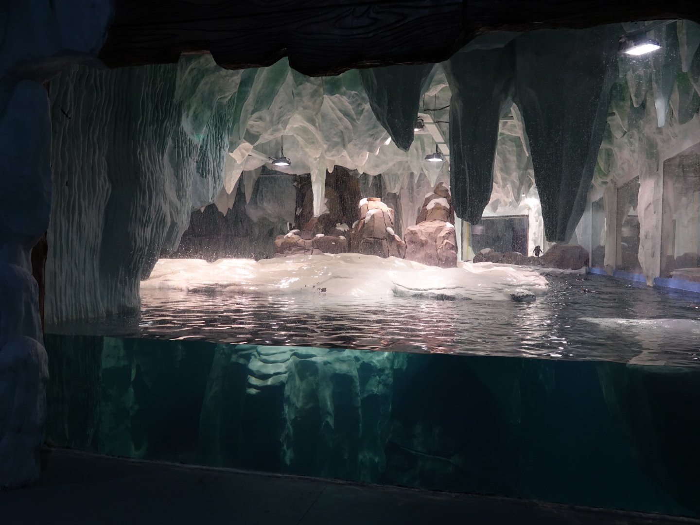 Inside the pinguin house - 16.04.2018