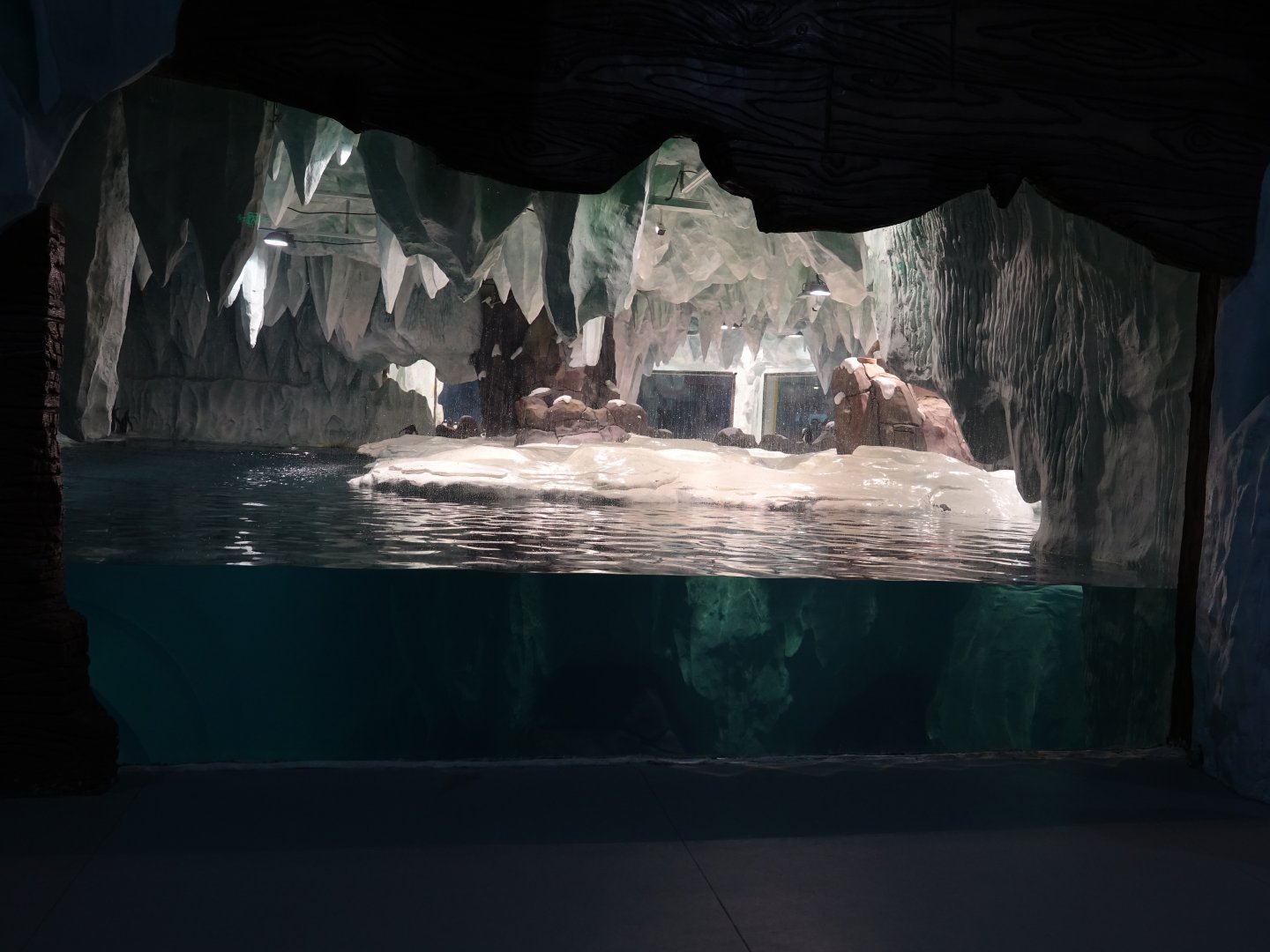 Inside the pinguin house - 16.04.2018