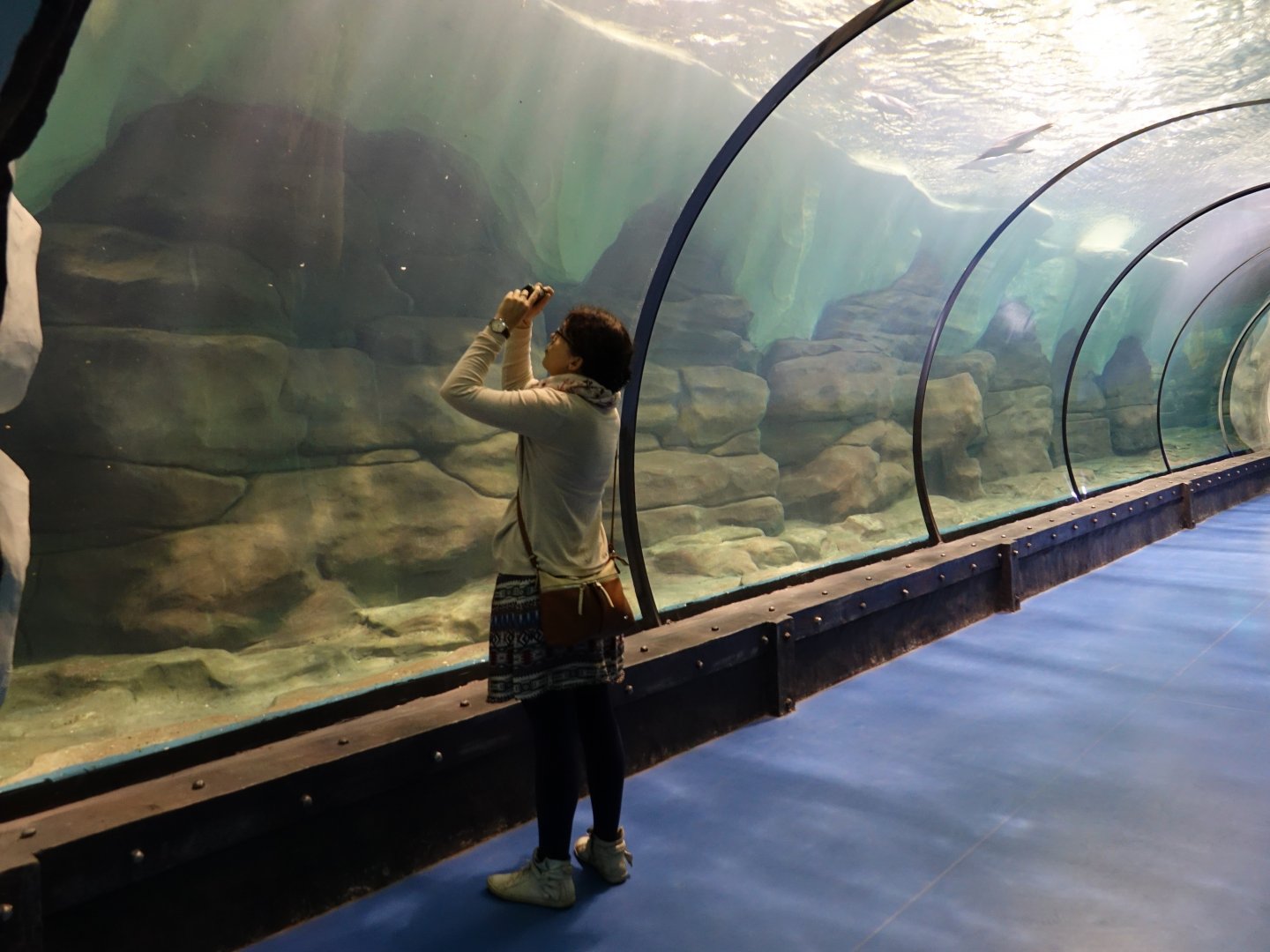 Inside the pinguin house - 16.04.2018