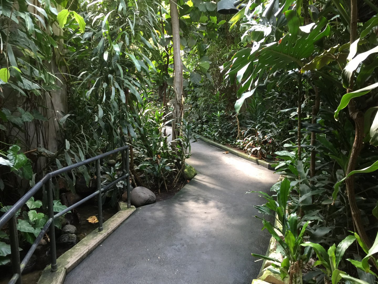 Inside the primate greenhouse