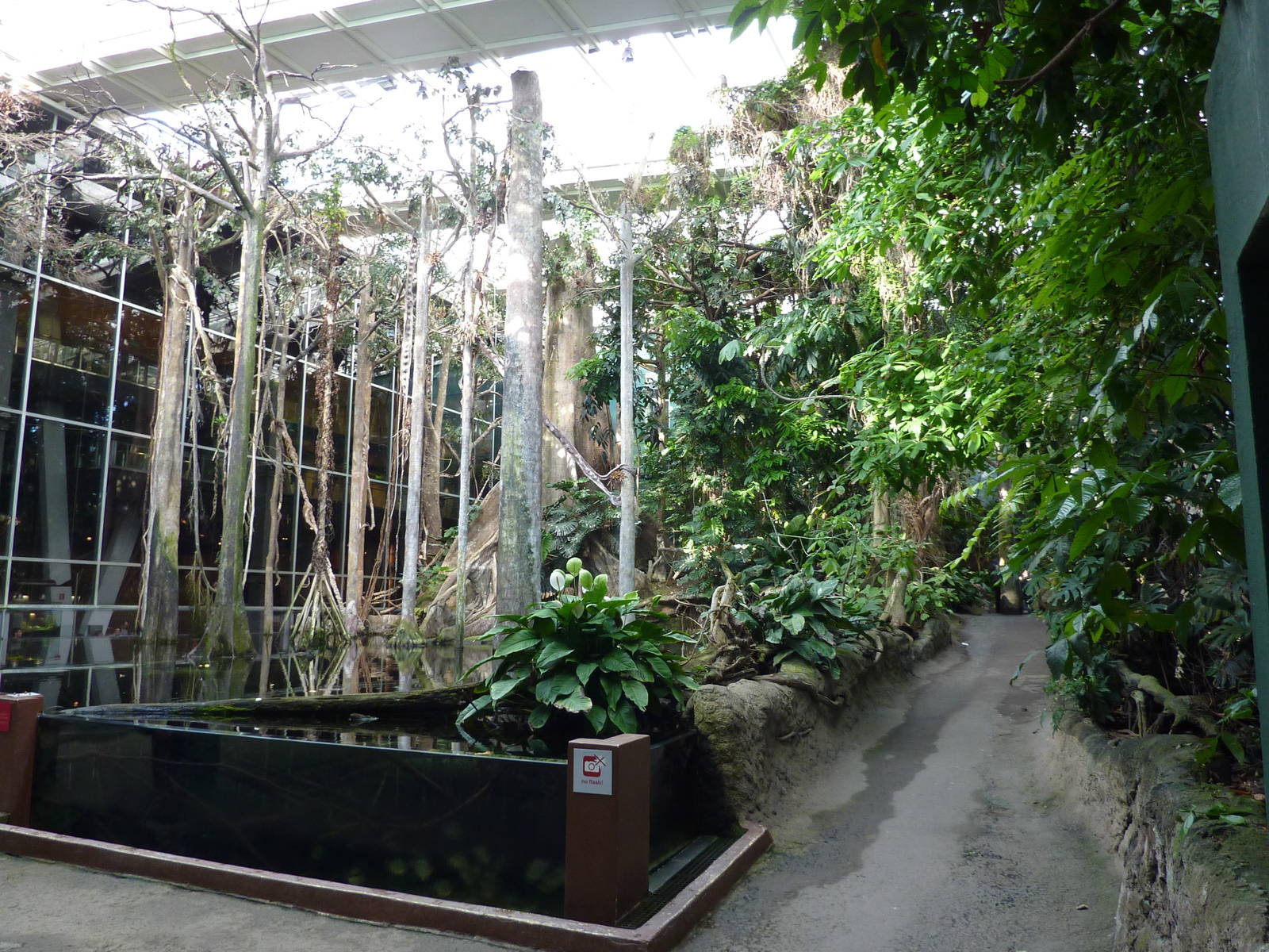 Inside the rainforest, 7th April 2012.