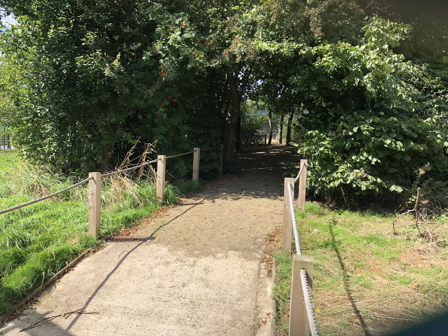 Inside the Red Squirrel Walkthrough Enclosure at Cannon Hall Farm (September 2023)