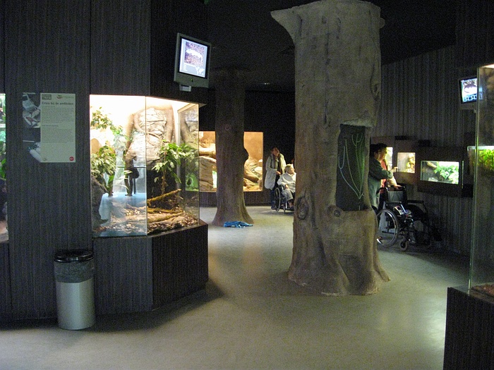 Inside the reptile building