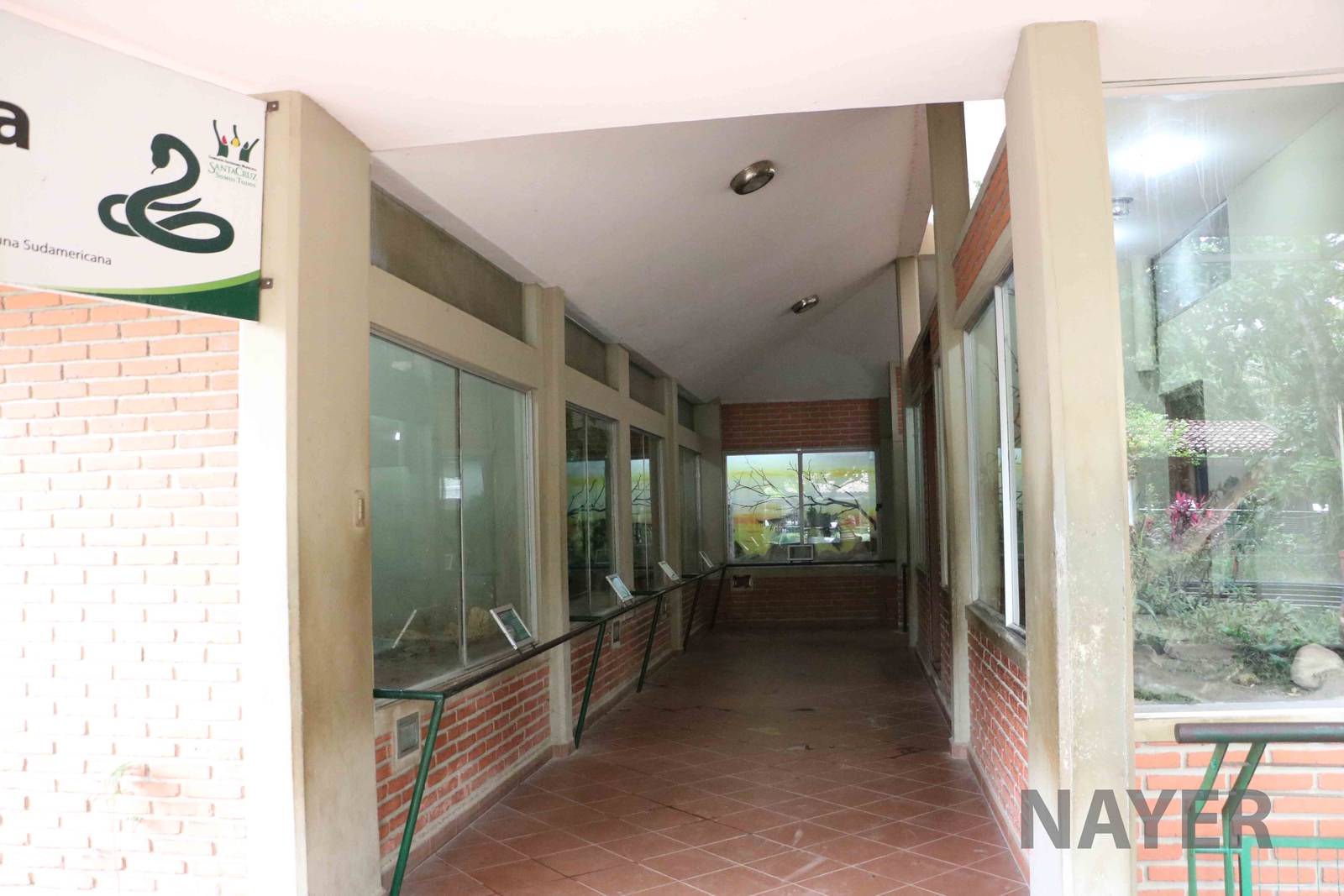 Inside the reptile complex, March 2016