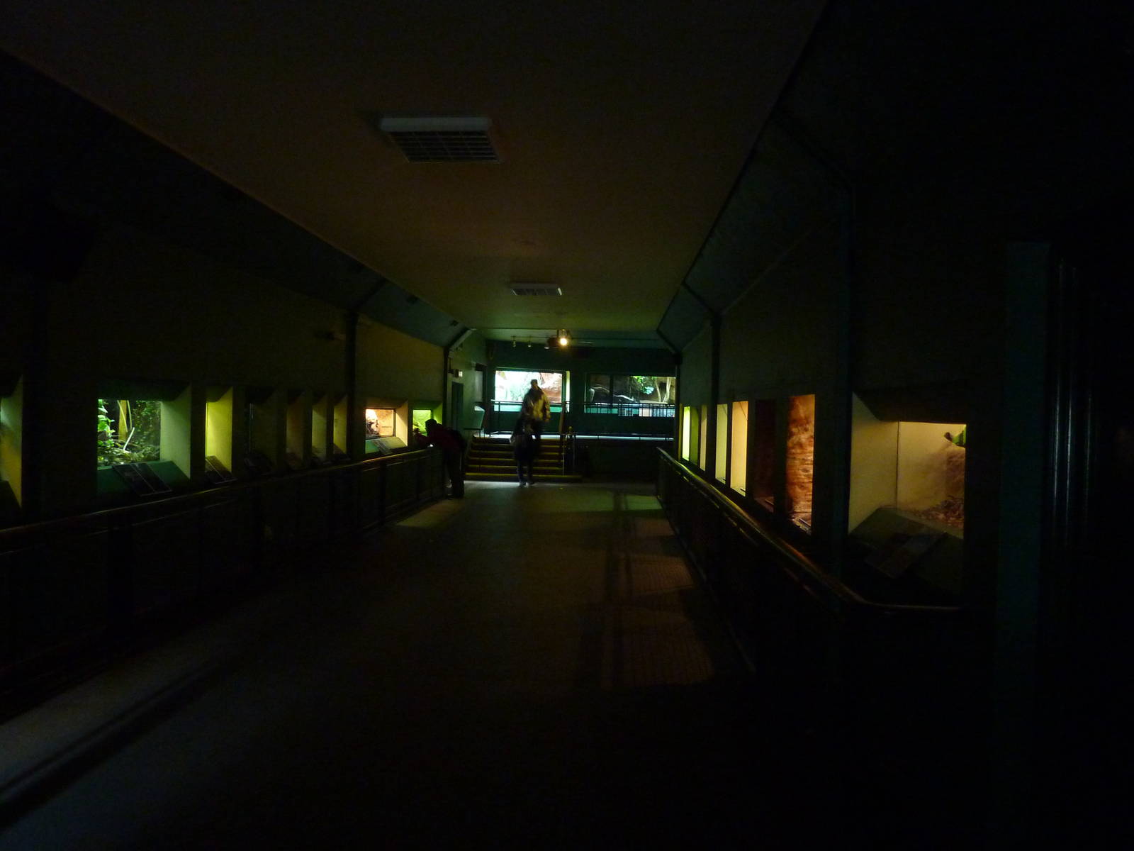 Inside the reptile house, 7th Feb 2012