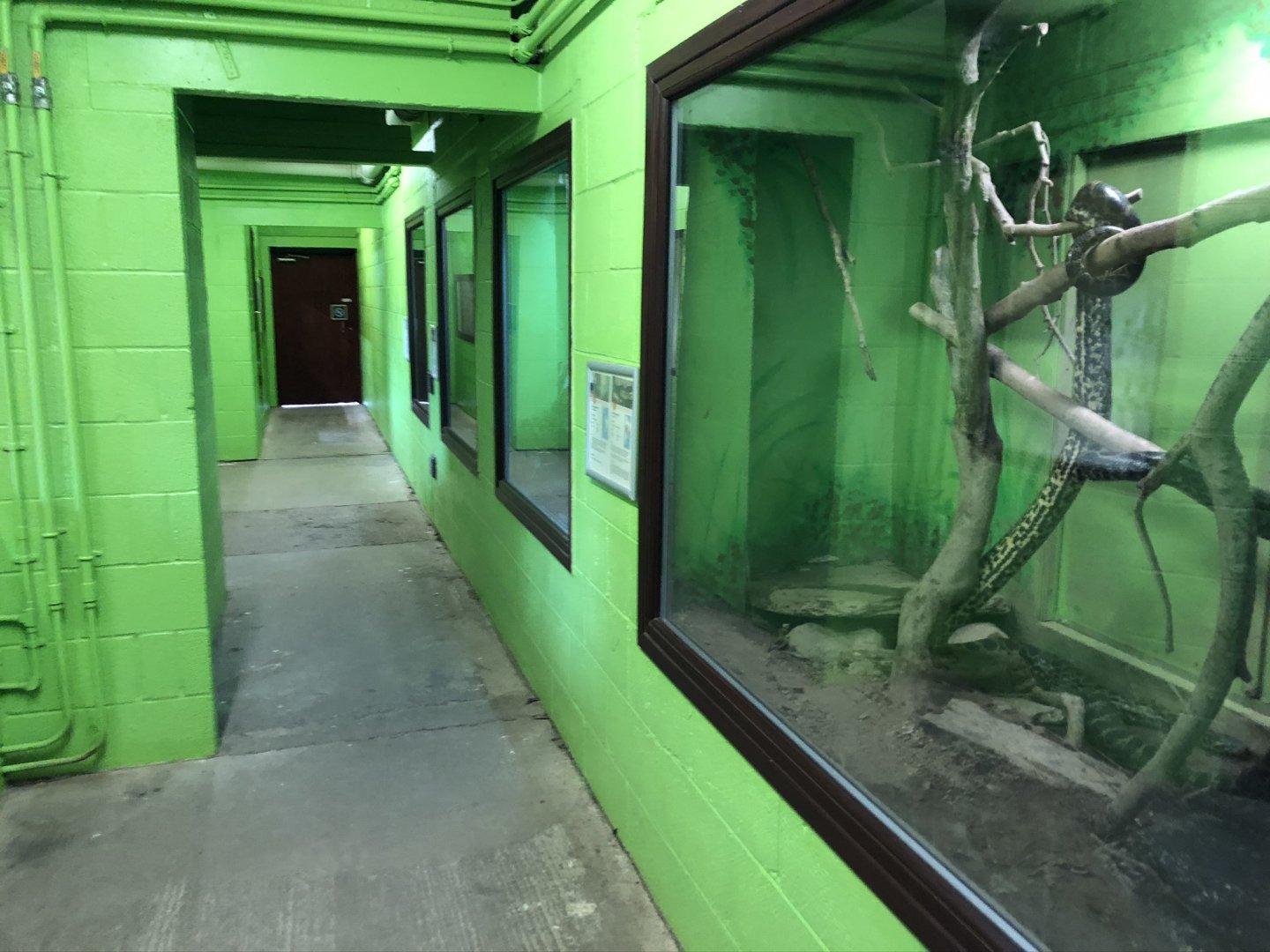Inside the Reptile House at Lake District Wildlife Park (May 2019)