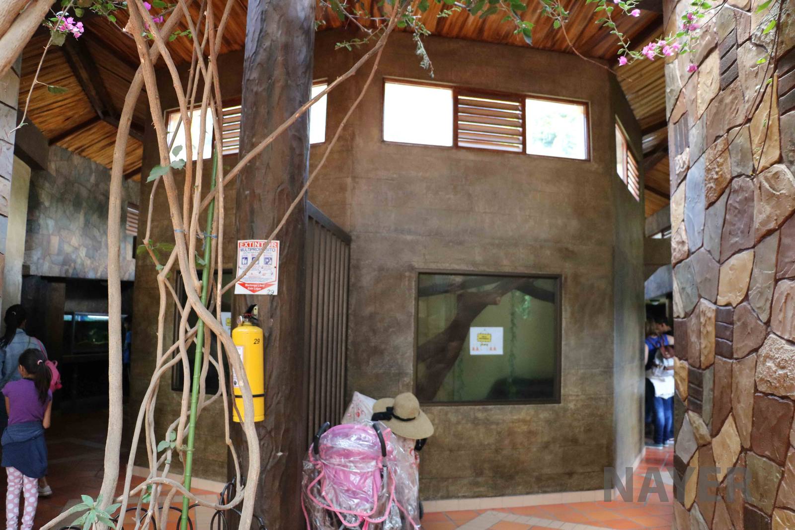 Inside the reptile house, March 2016