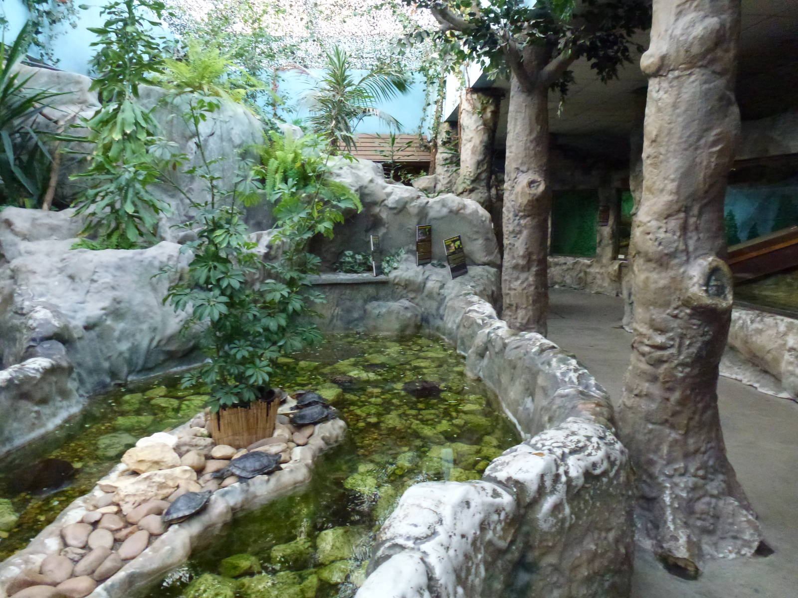 Inside the reptile house, November 2013.