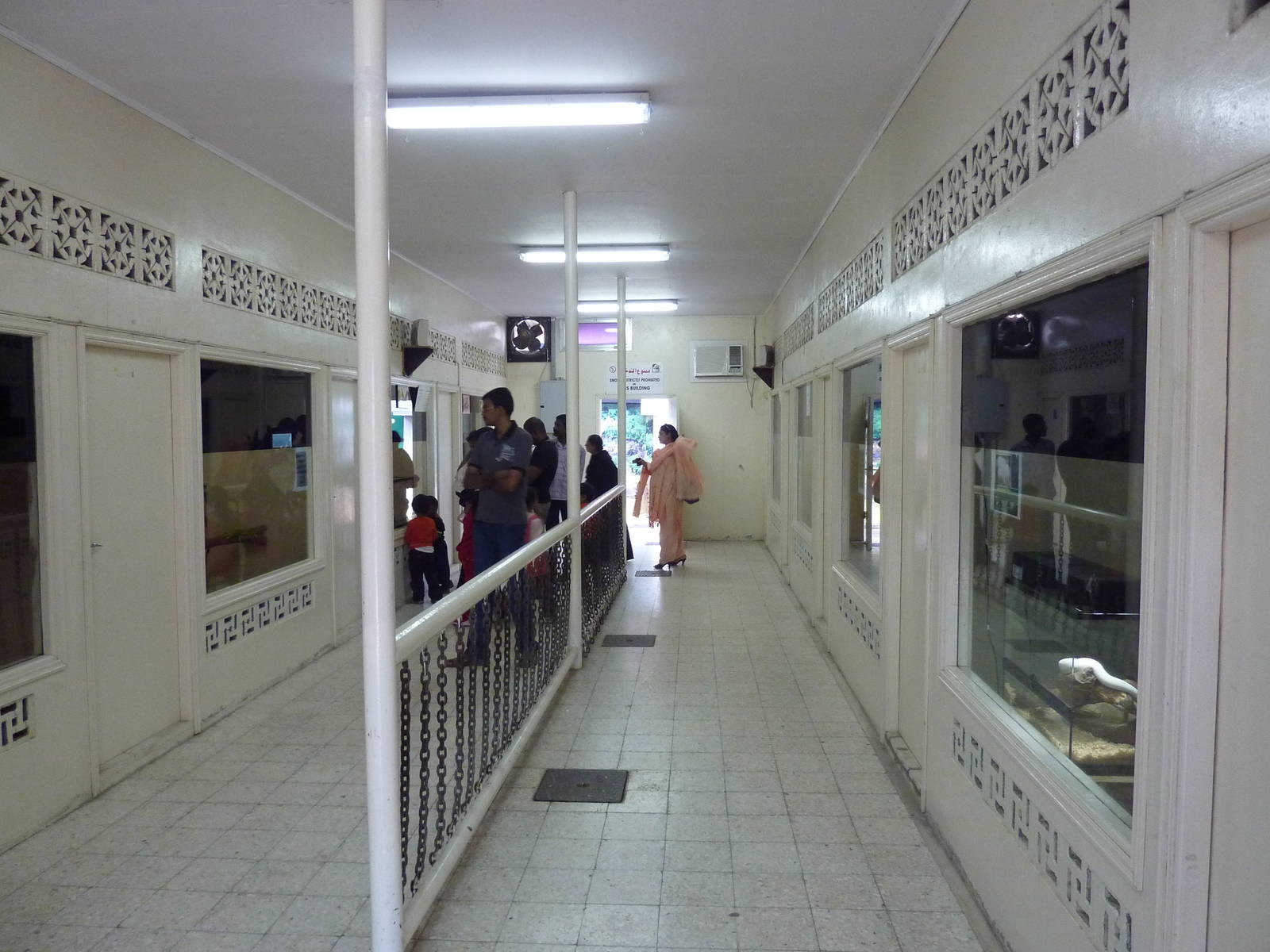 Inside the reptile house