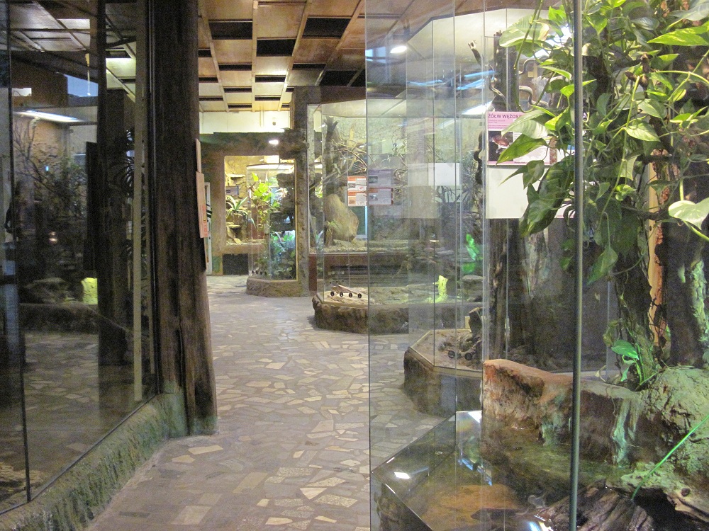 Inside the Reptile House