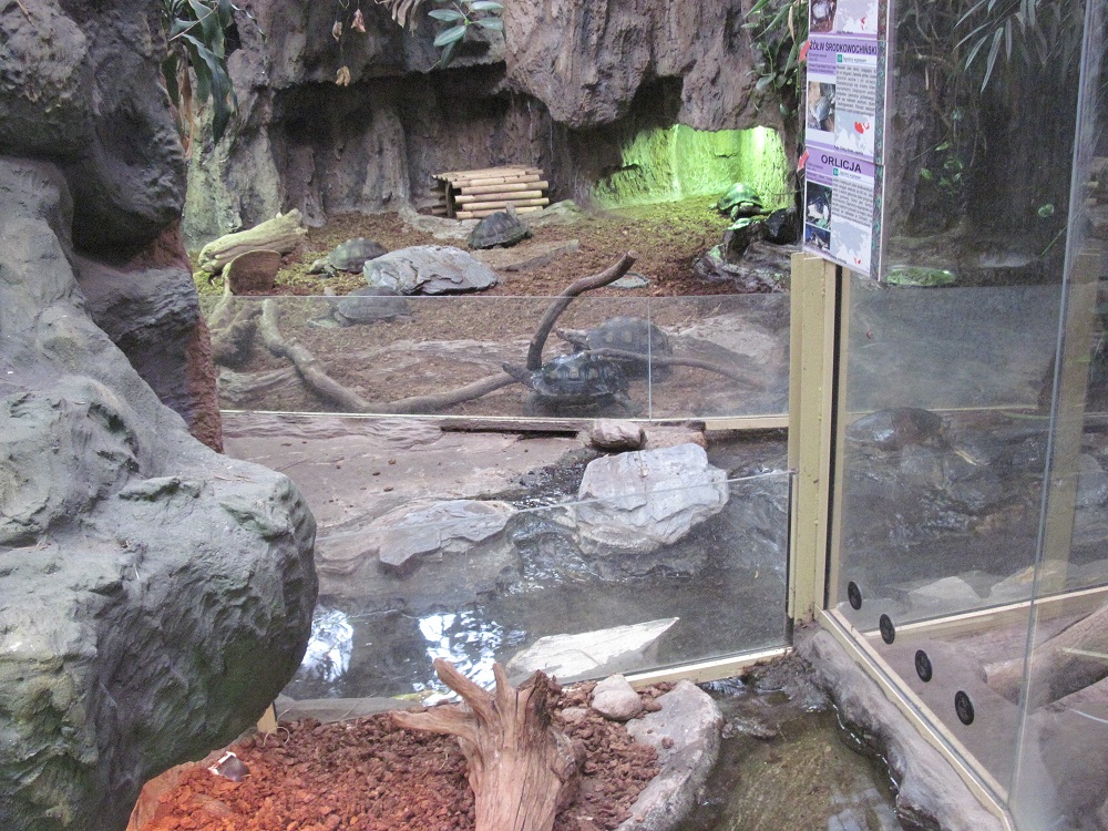 Inside the Reptile House