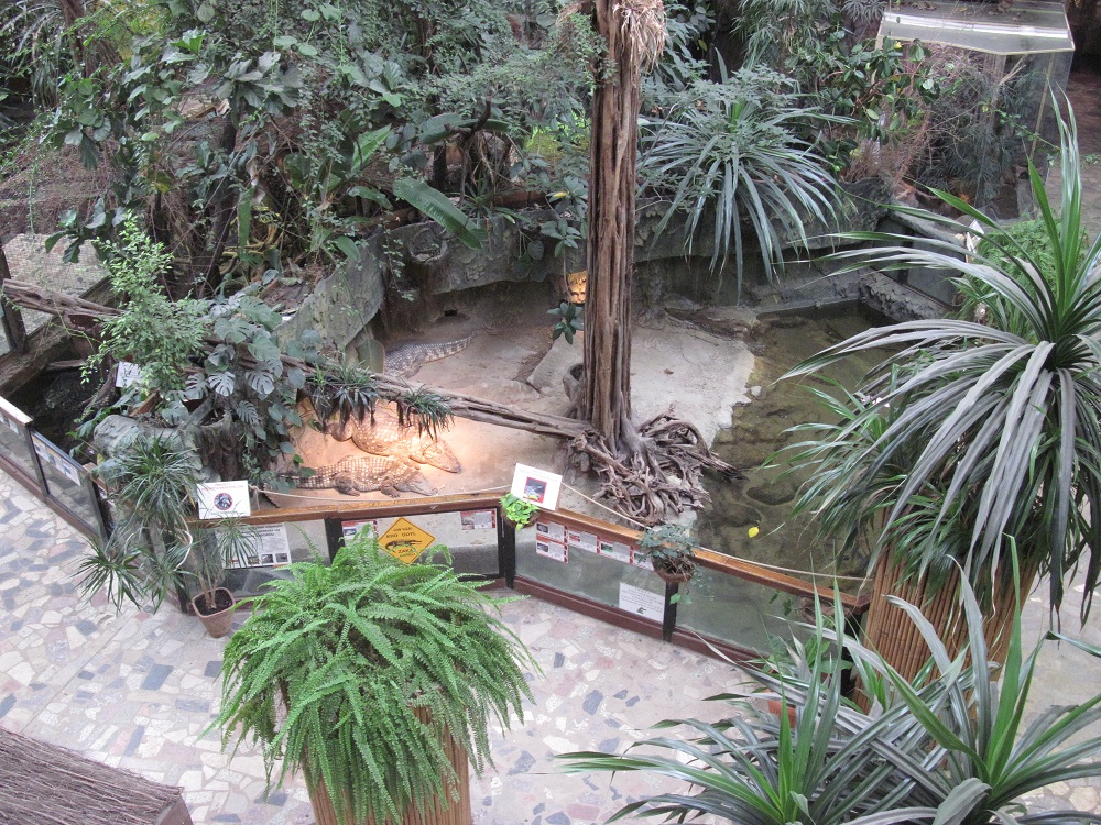 Inside the Reptile House