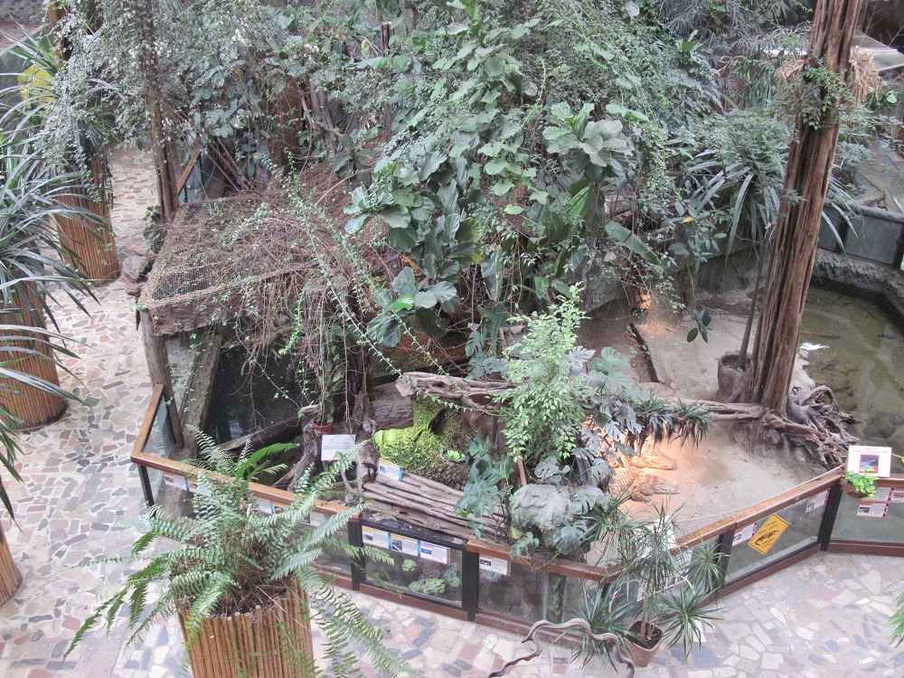 Inside the Reptile House