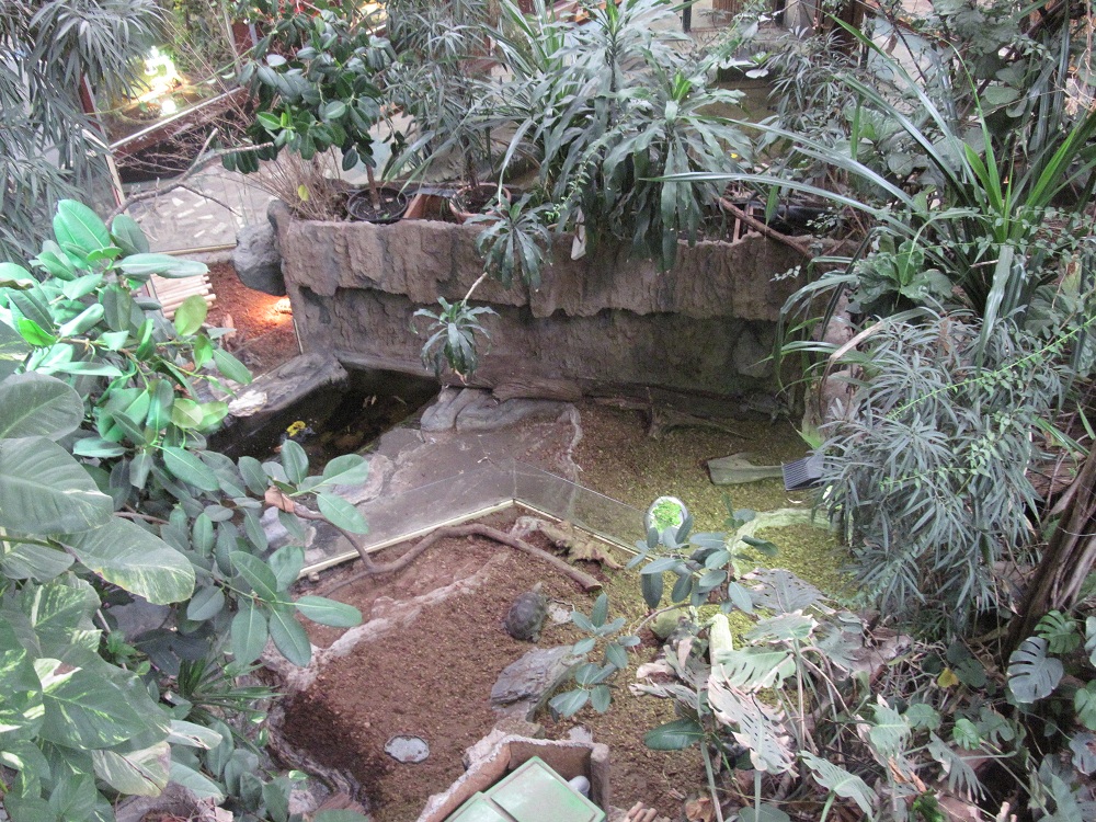 Inside the Reptile House