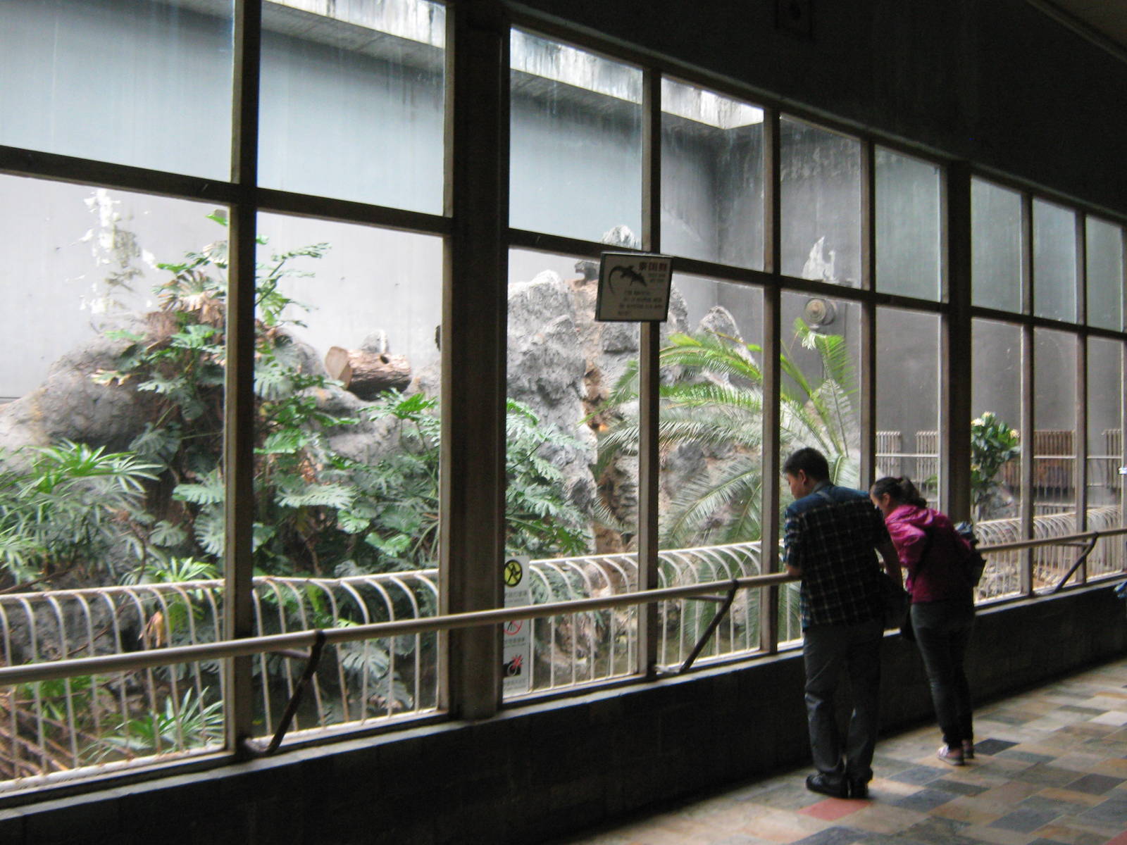 inside the Reptile House