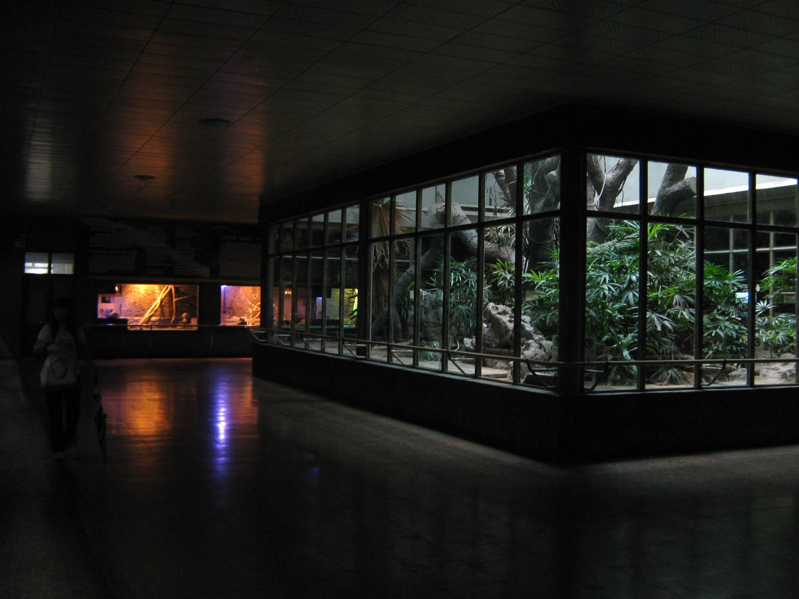 inside the Reptile House