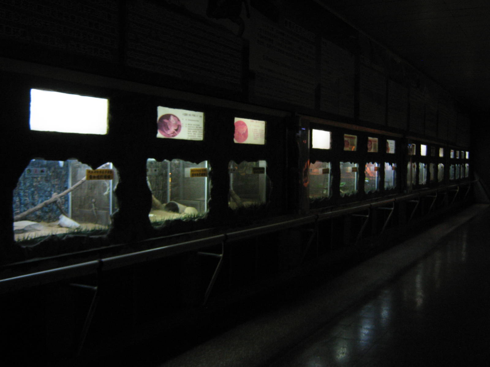 inside the Reptile House