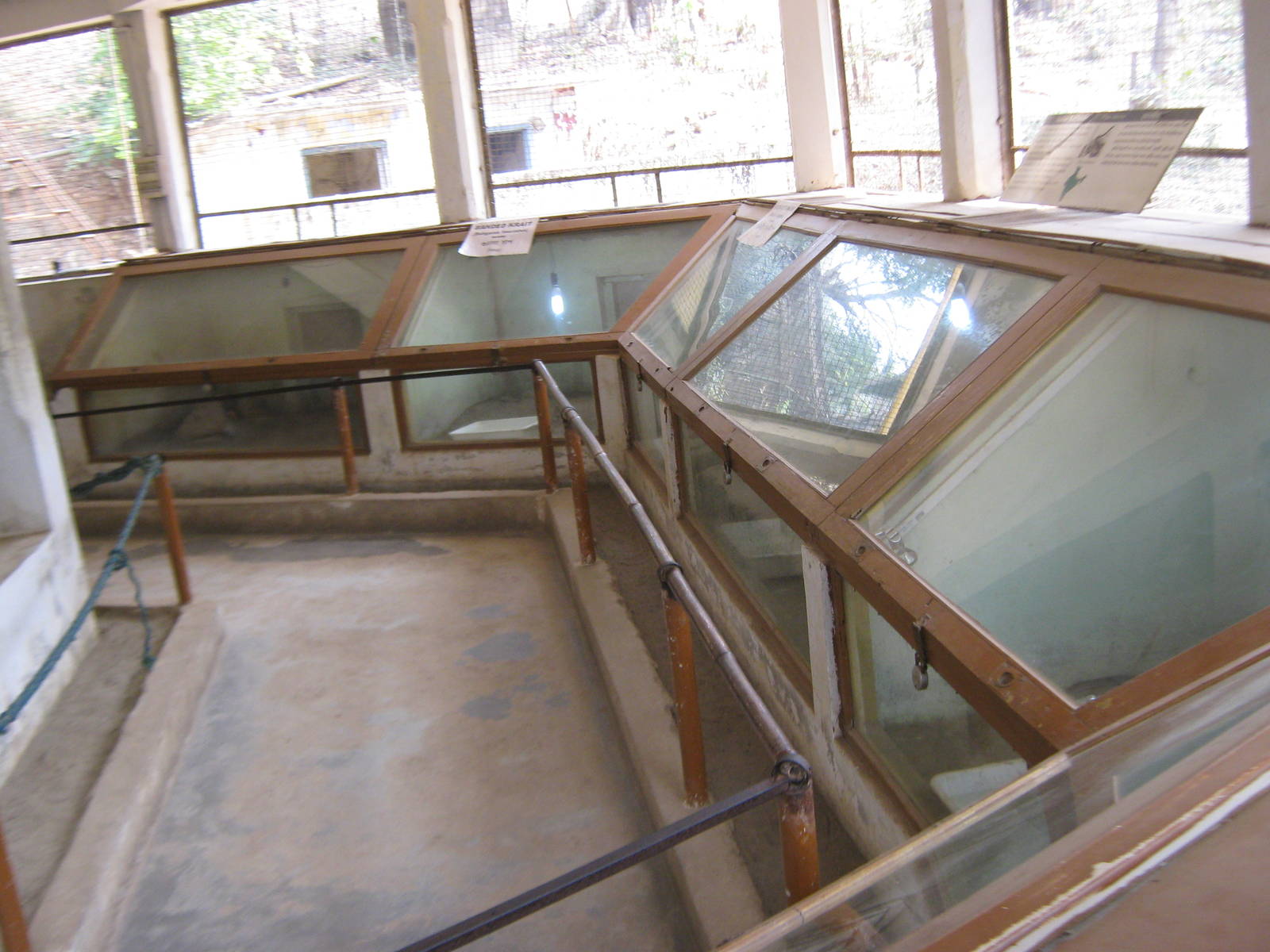 inside the Reptile House