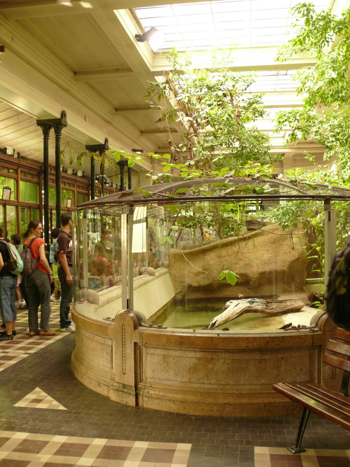 Inside the Reptile House