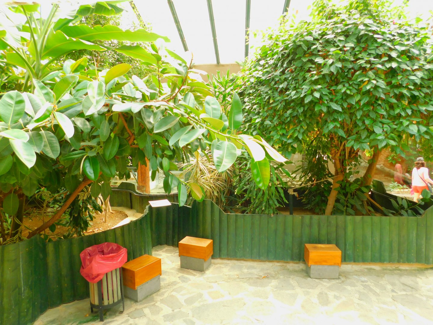 Inside the reptile house