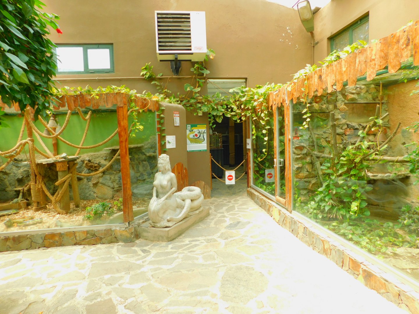 Inside the reptile house