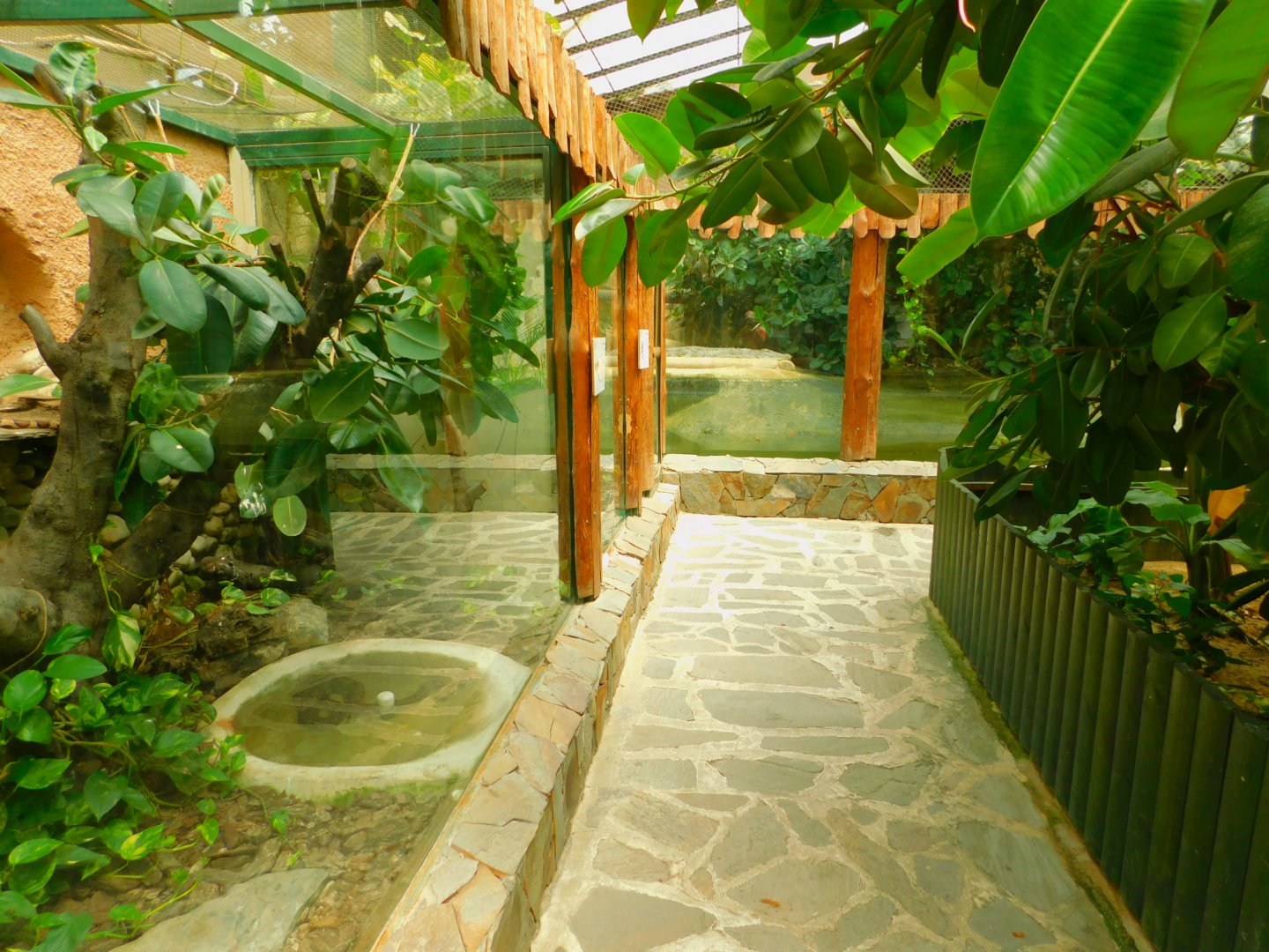 Inside the reptile house