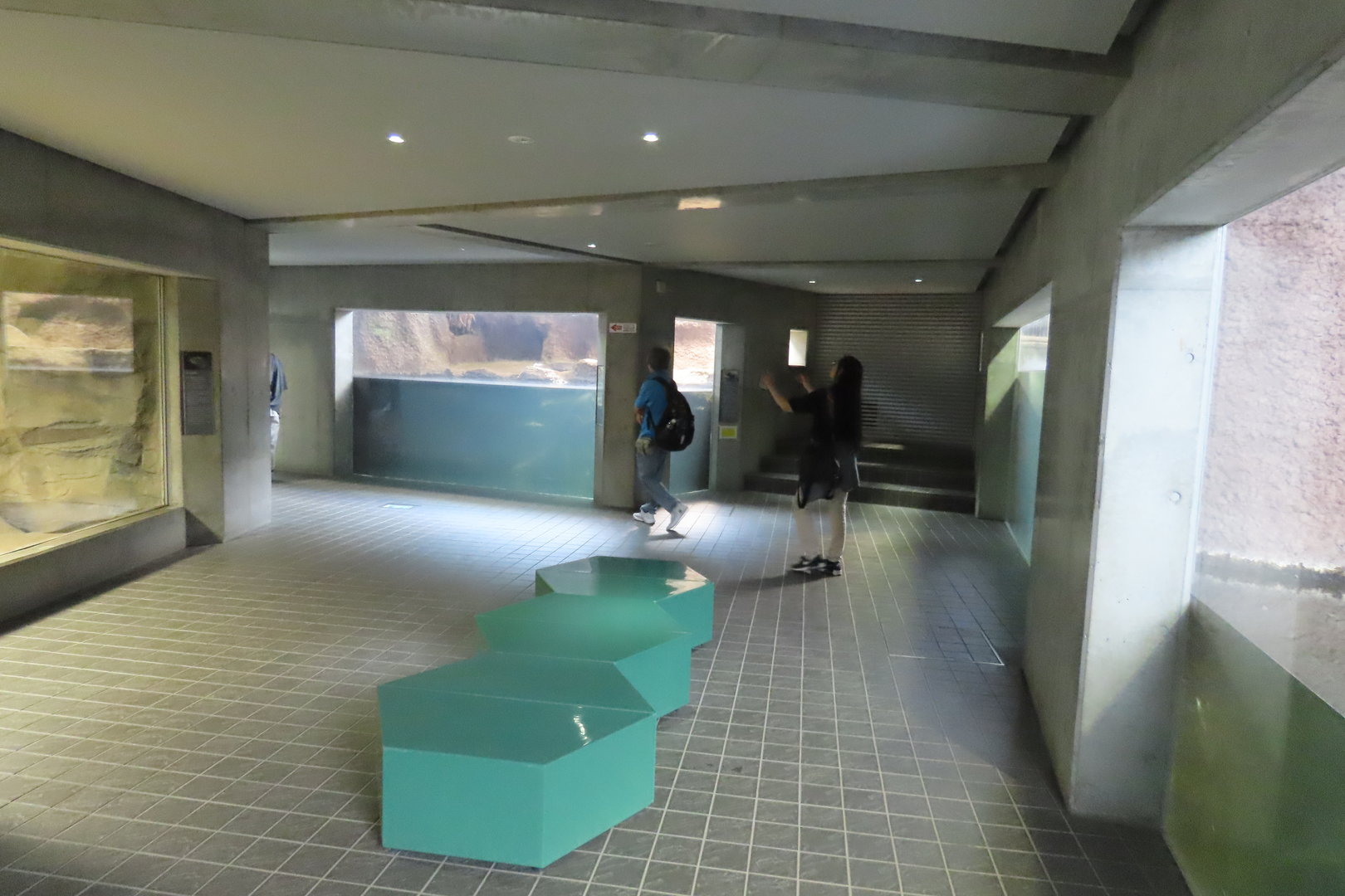 Inside the reptile house