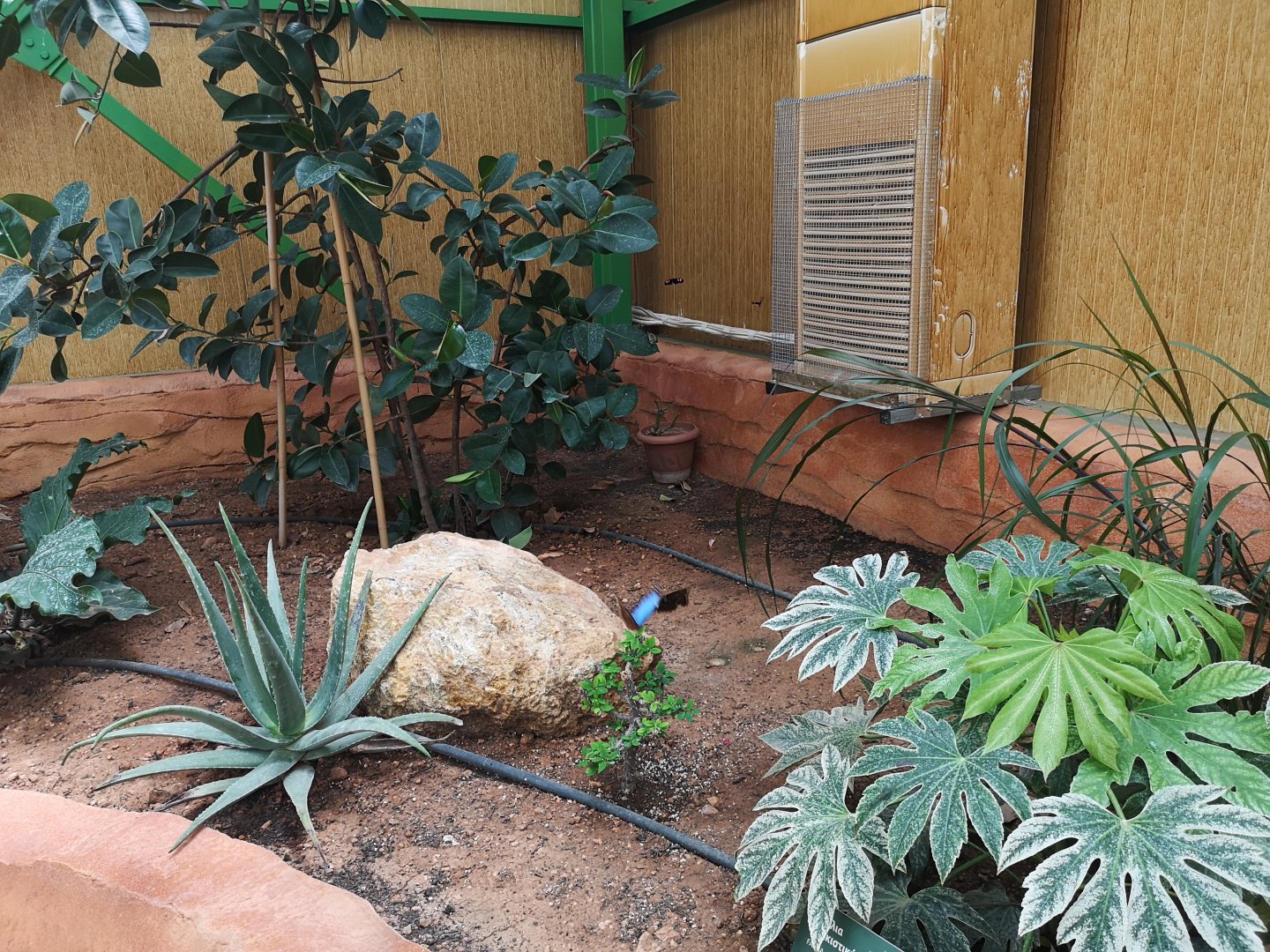 Inside the reptile house