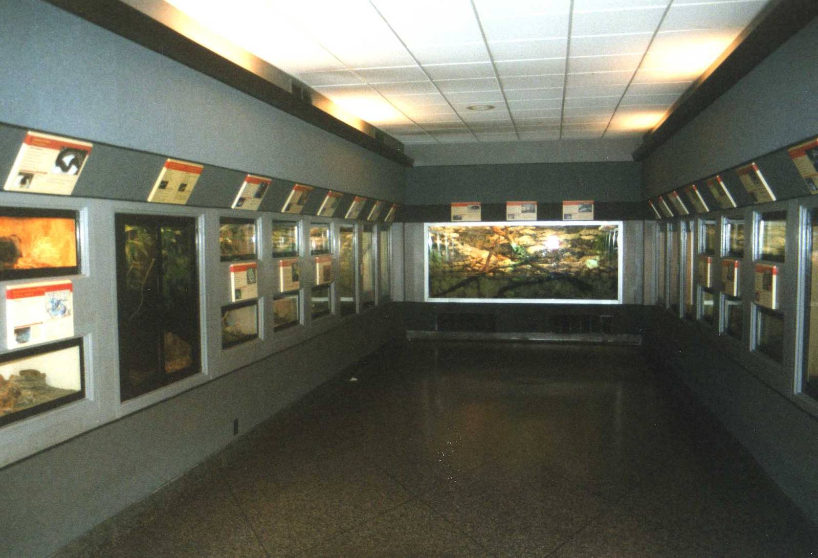 Inside the Reptile section