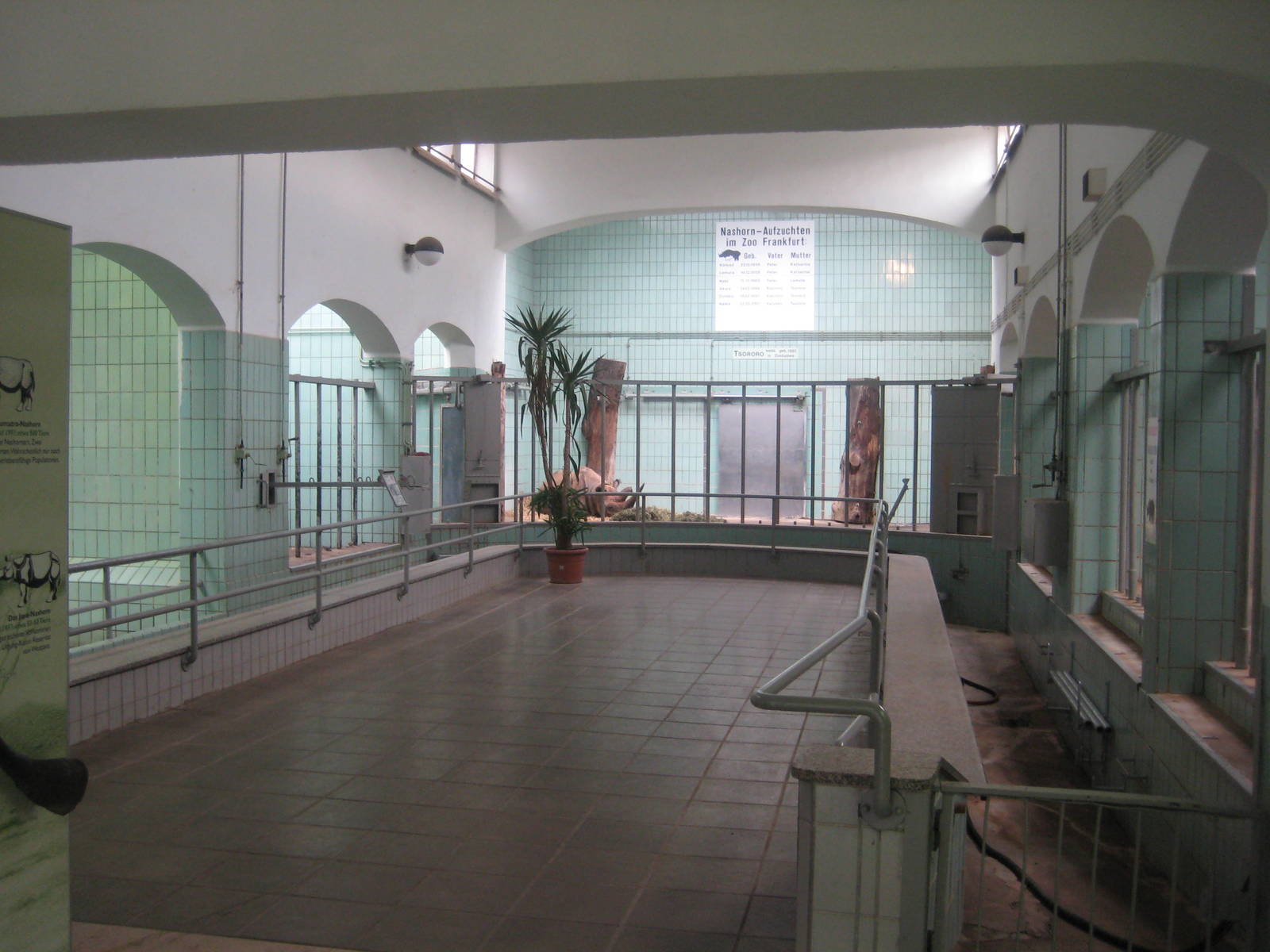 Inside the Rhino House