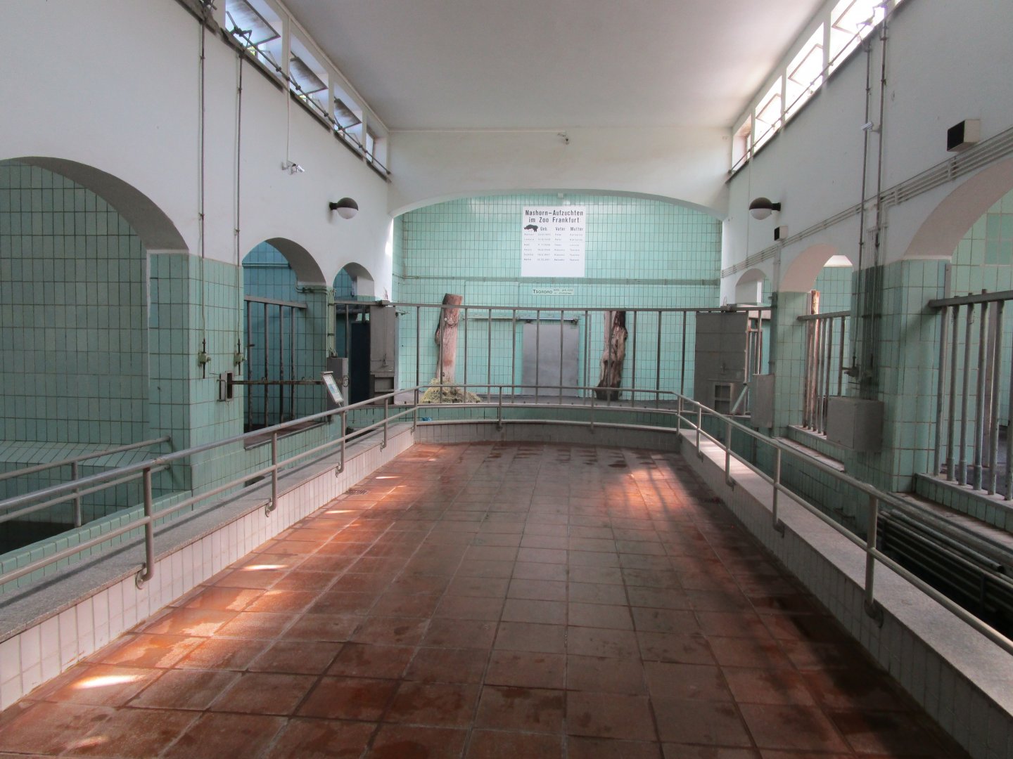 Inside the Rhino House