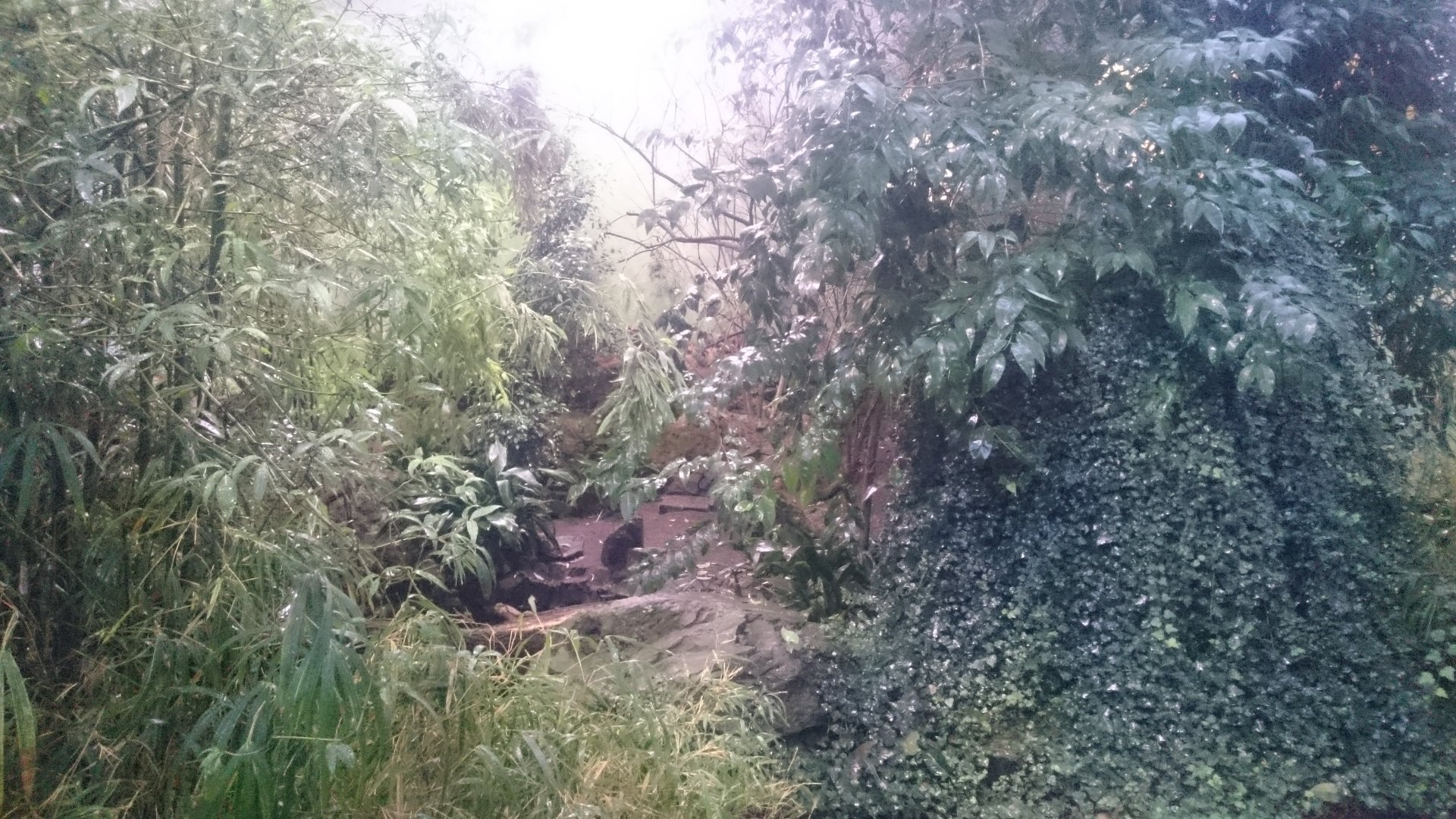 Inside the Sichuan Hall
