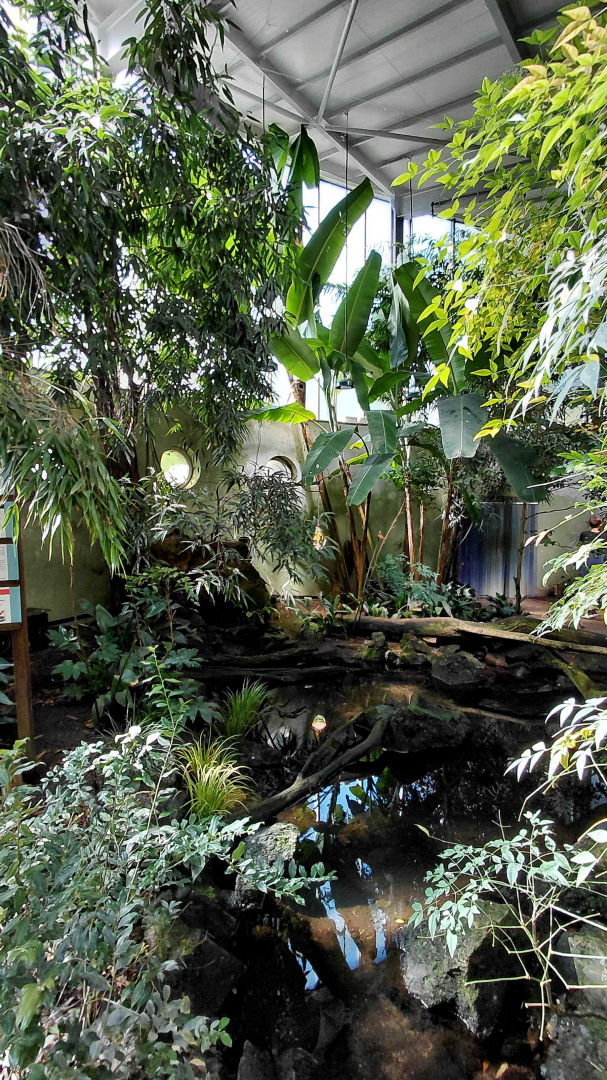 Inside the Sichuan house