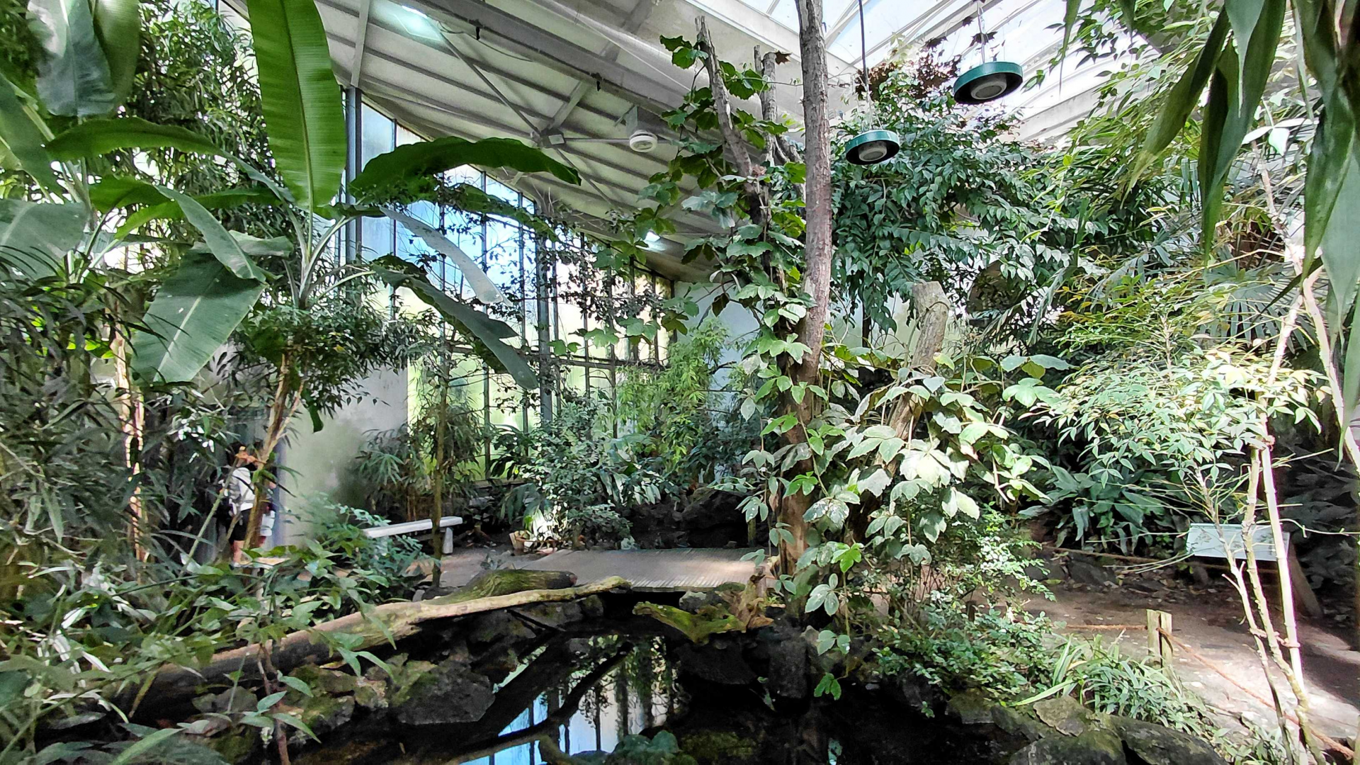 Inside the Sichuan house