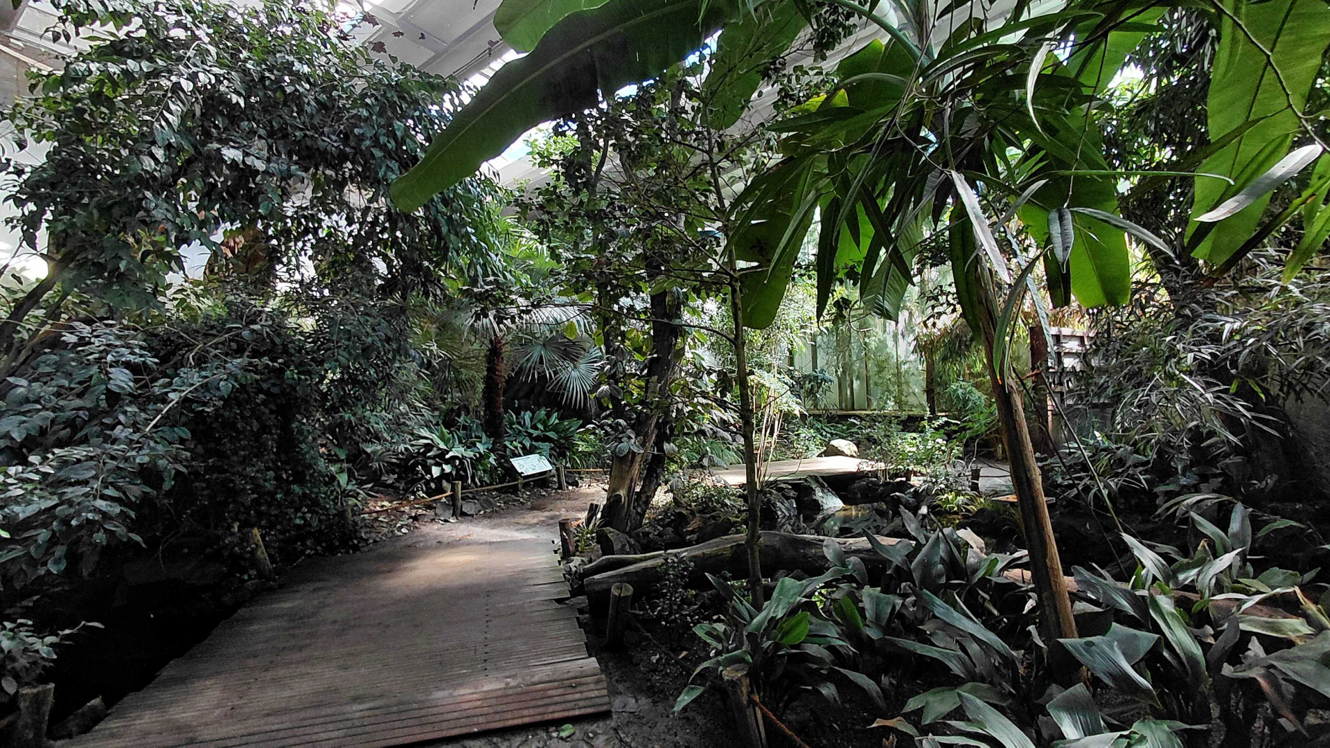 Inside the Sichuan house