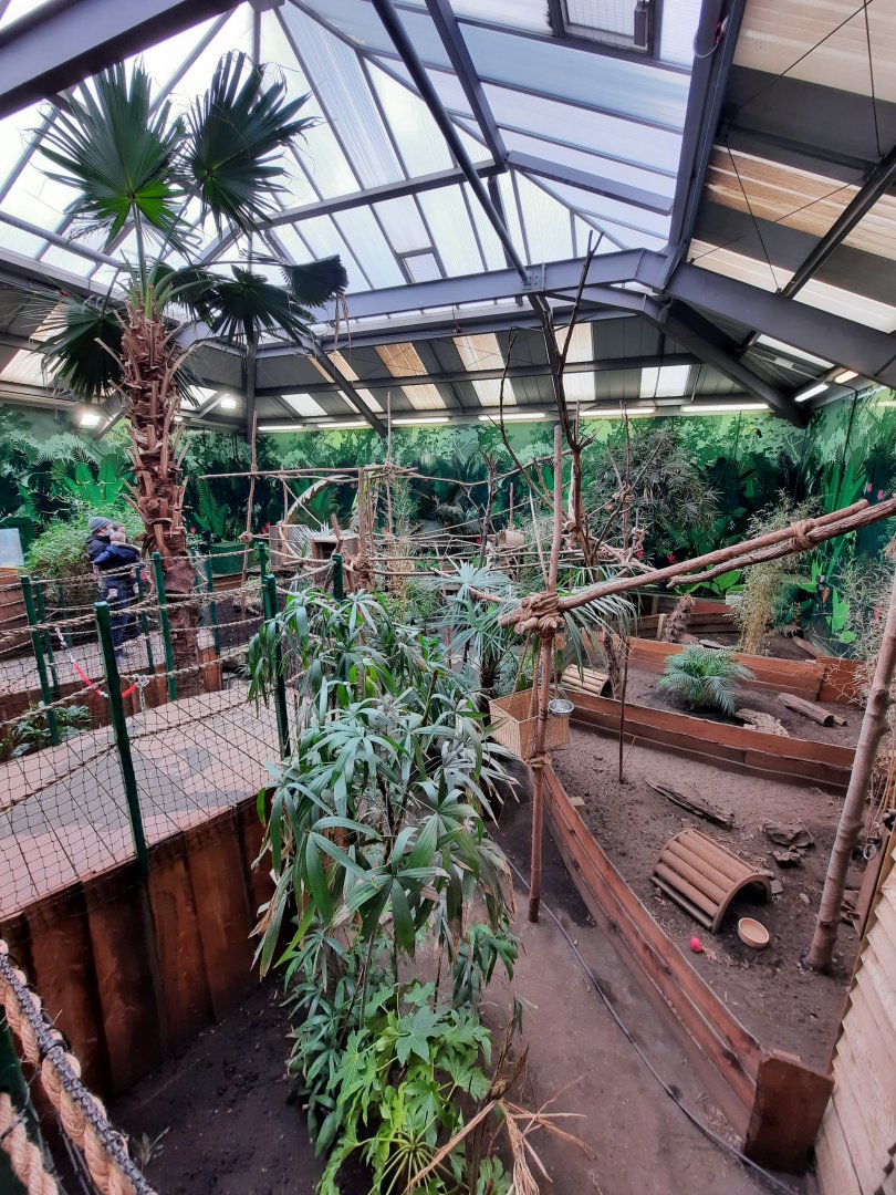 Inside the sloth house