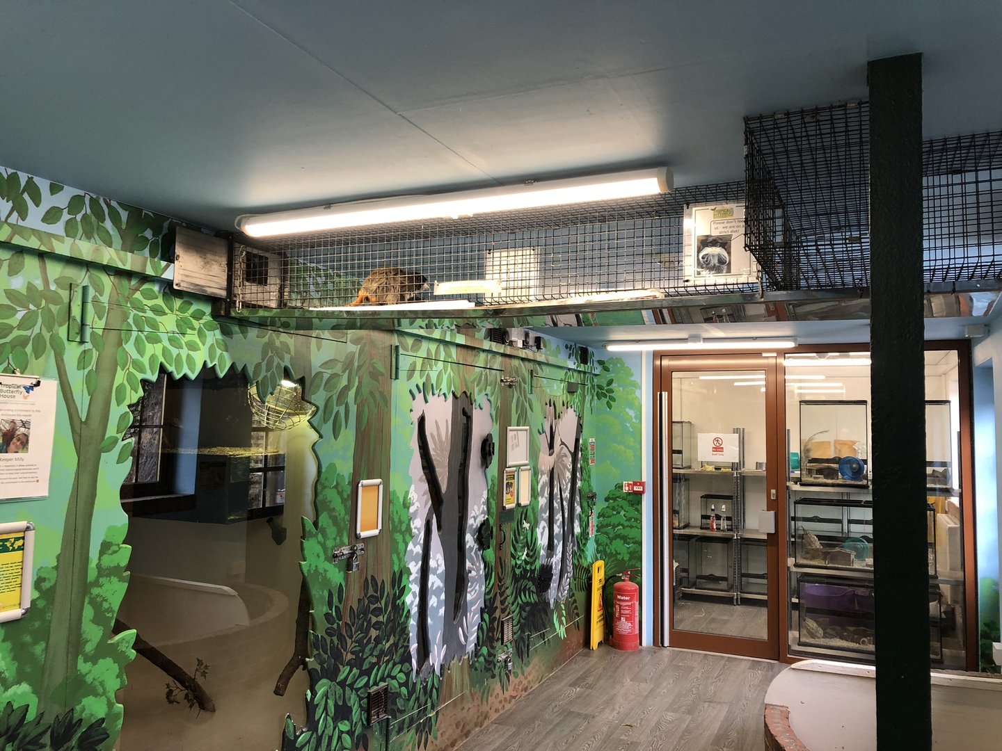 Inside the Small Animal House at Tropical Butterfly House (March 2023)