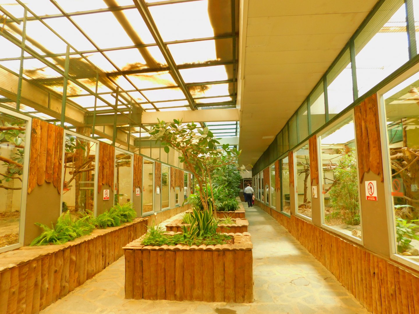 Inside the small monkey house