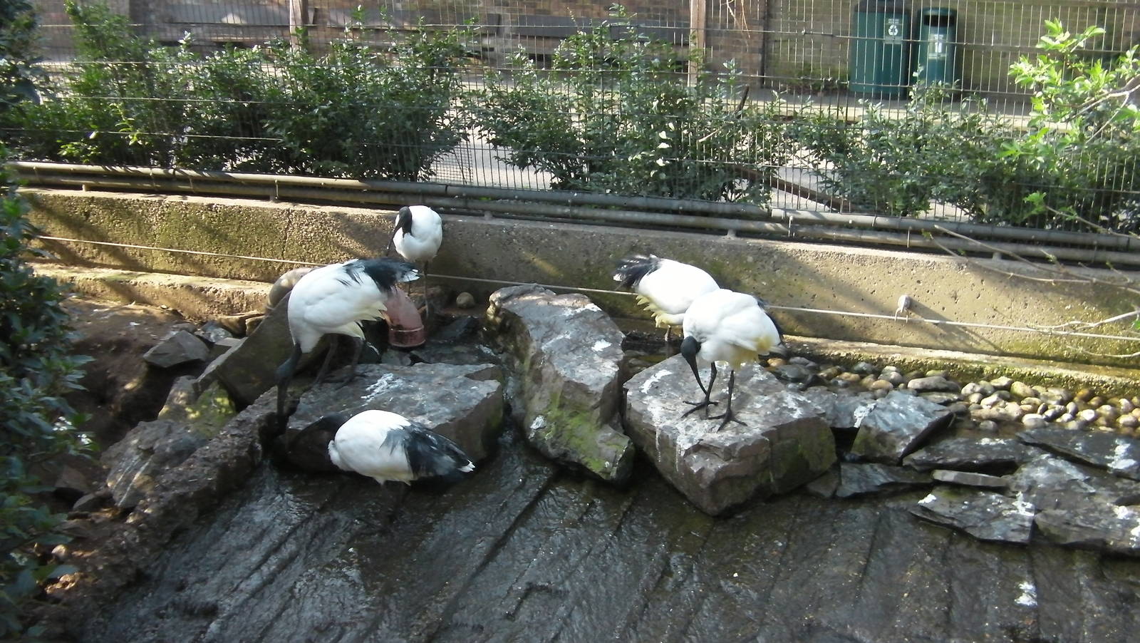 Inside the Snowdon Aviay - 24.03.2012