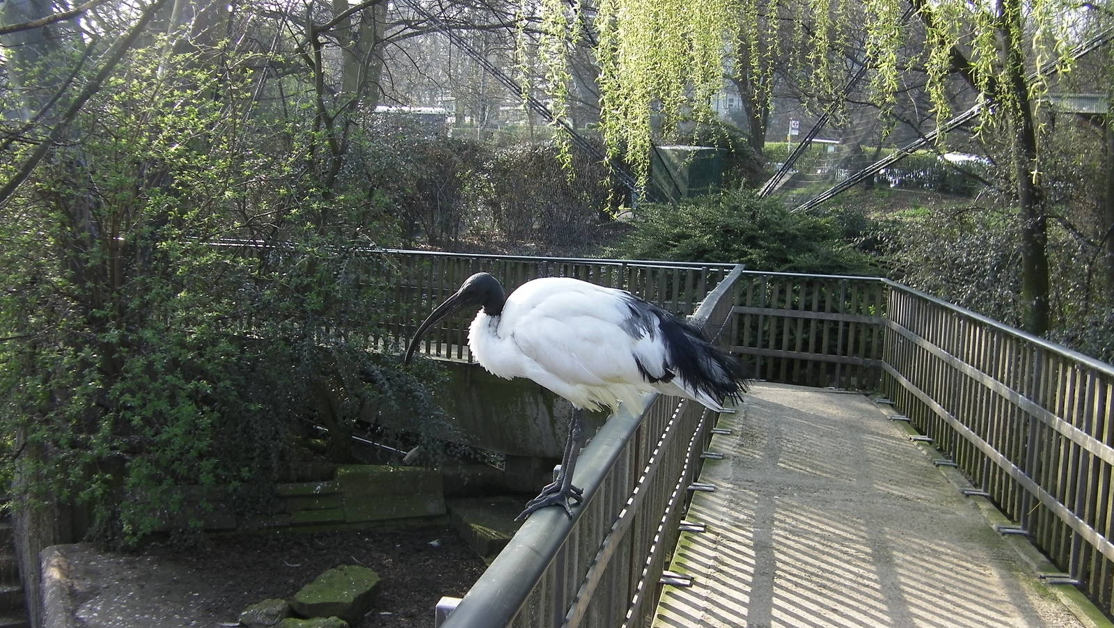 Inside the Snowdon Aviay - 24.03.2012