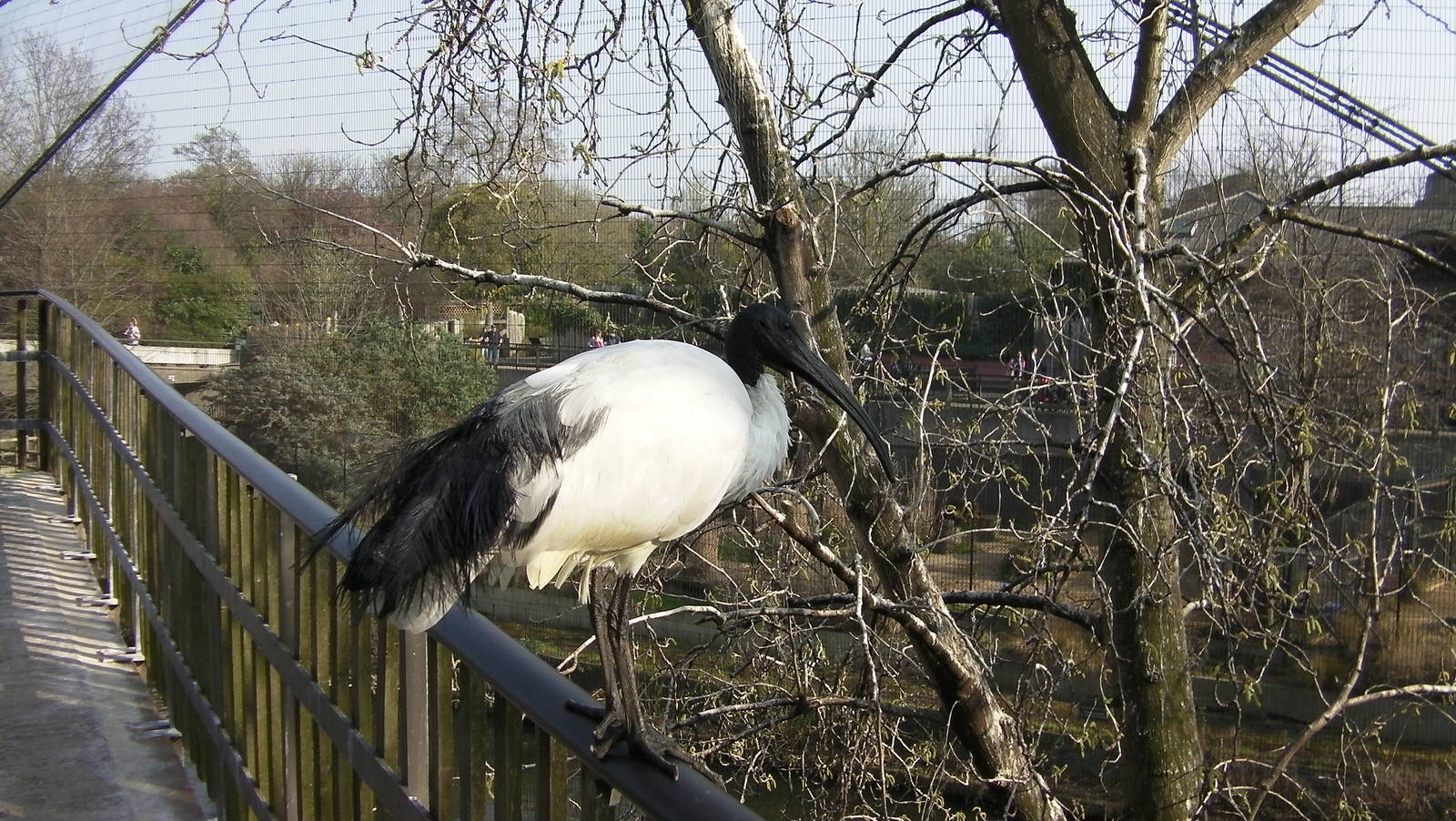 Inside the Snowdon Aviay - 24.03.2012