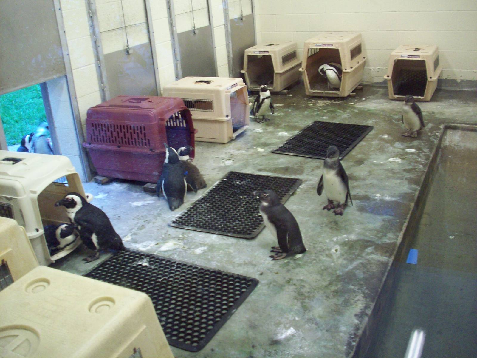 Inside the Soap Opera