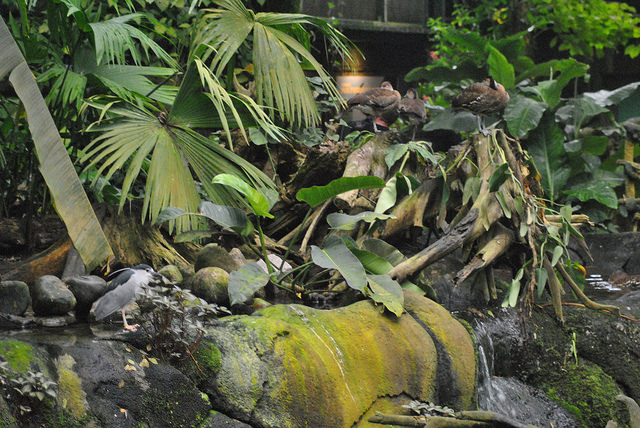 Inside the South-America dome