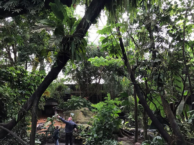 Inside the South-America dome
