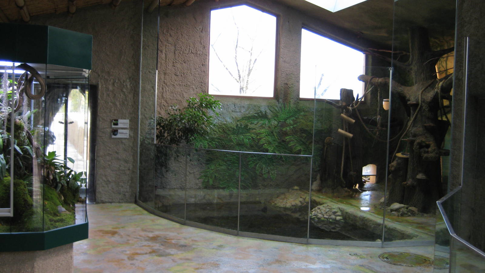 Inside the South america Monkeyhouse