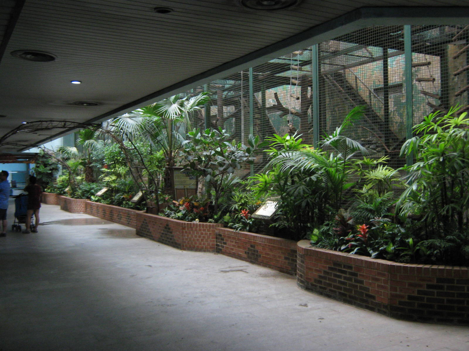 inside the South American house