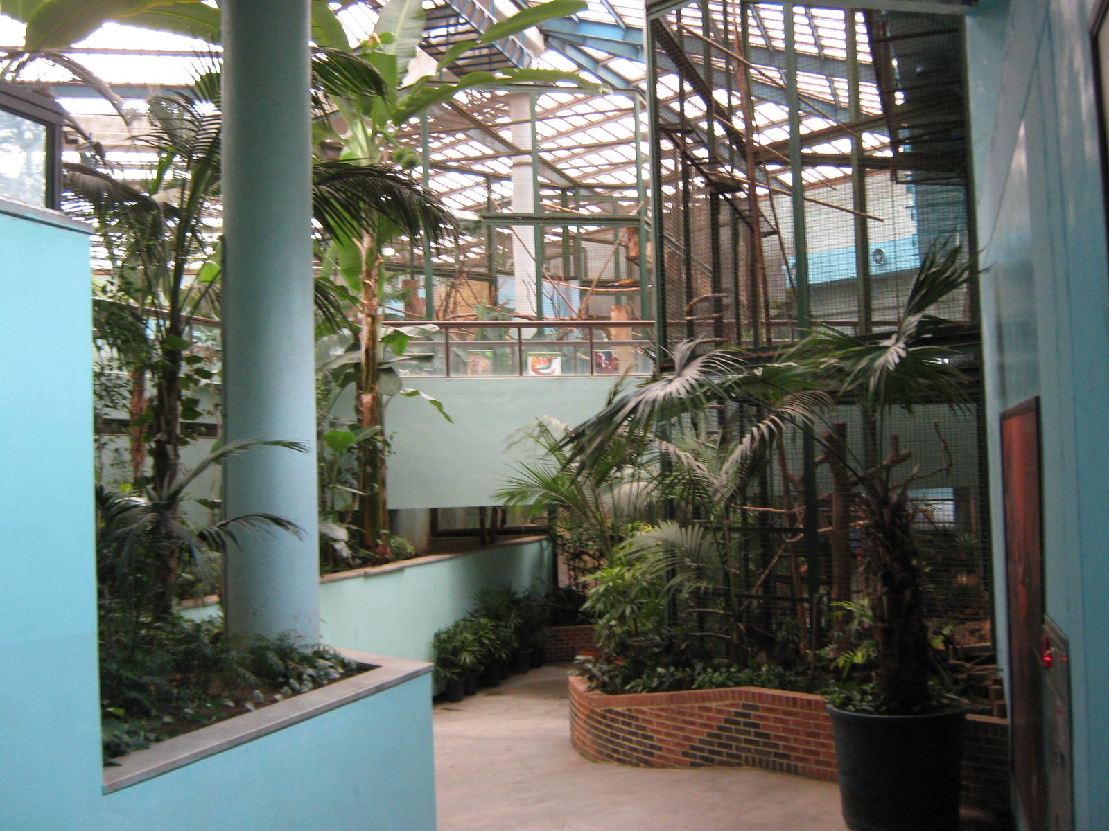 inside the South American house