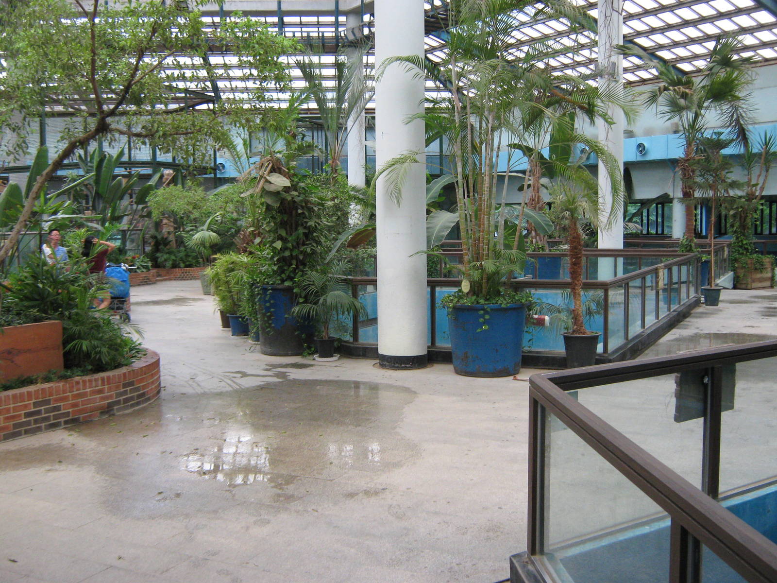 inside the South American house